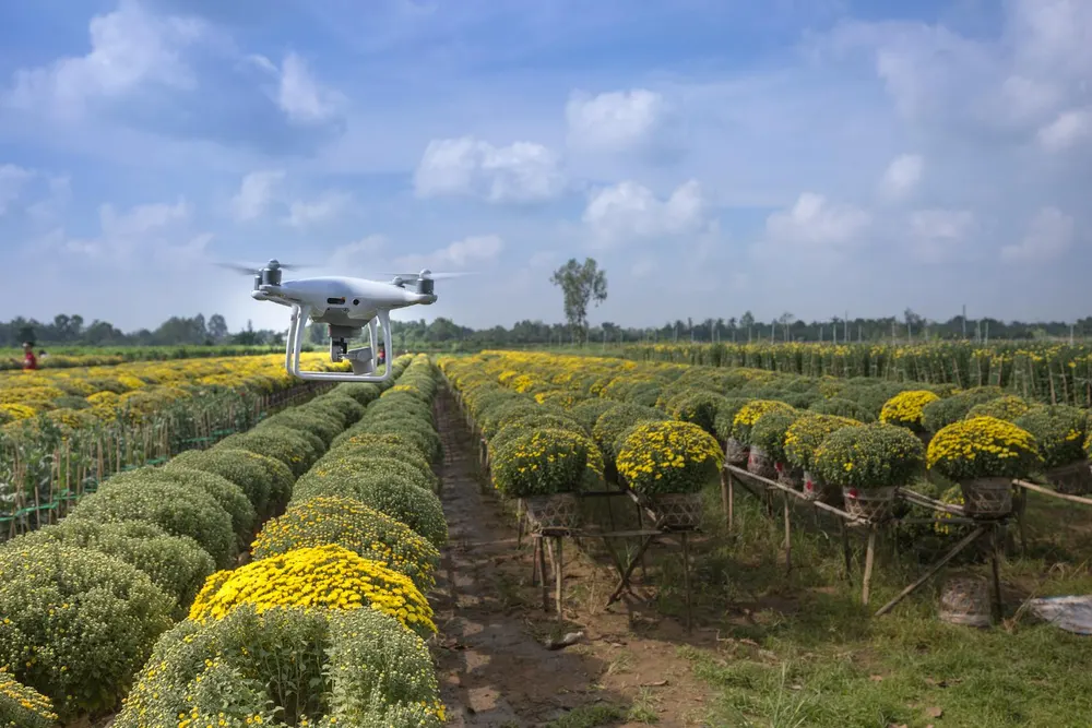 Campo agrícola con tecnología